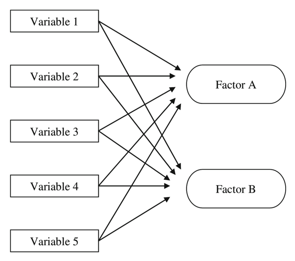 Exploratory factor analysis

