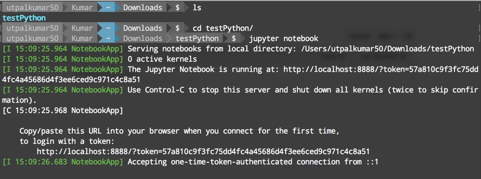 Launching Jupyter Notebook from the terminal