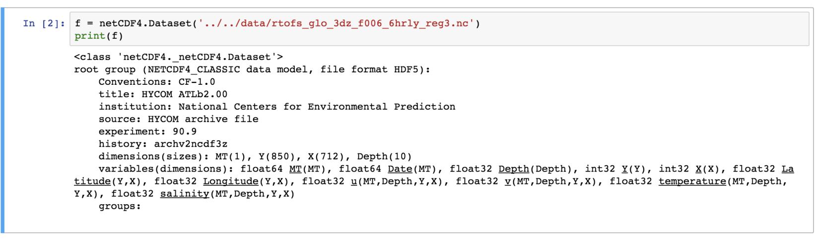The netCDF Dataset printed: HDF5 format, metadata, dimensions and variables