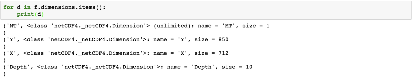 The four dimensions MT, Y, X and Depth with their sizes
