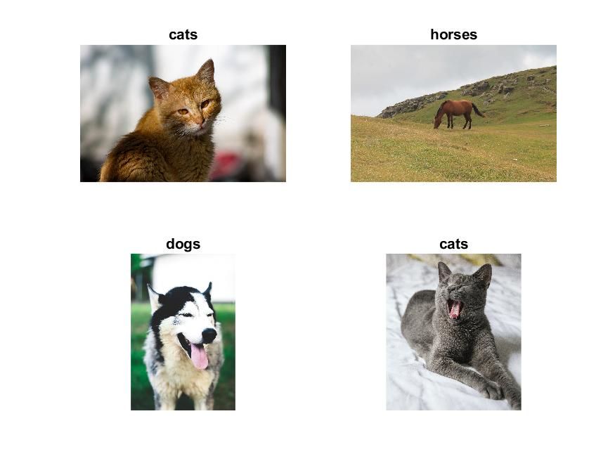 Transfer learning applied on the unsplash data using alexnet pretrained network (codes included)
