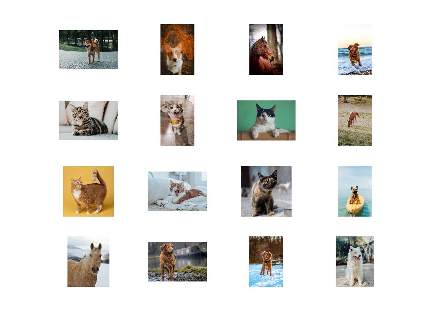 Visualize the loaded images before training